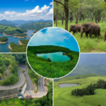 Wayanad sightseeing cab service — BanasuraCabs